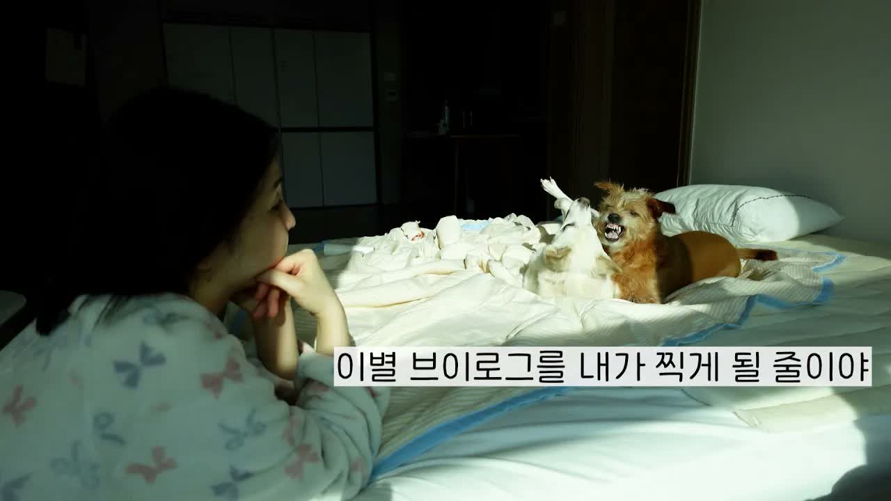 [rappeler하쁠리] 告别 8 年恋爱｜搬去釜山治愈日常｜久违的轻声助眠 Vlog 🍅