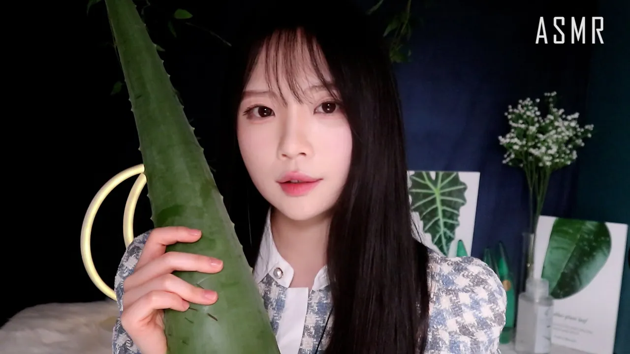 【nara】欢迎光临芦荟护肤品商店|脸部护理|角色扮演 🍅