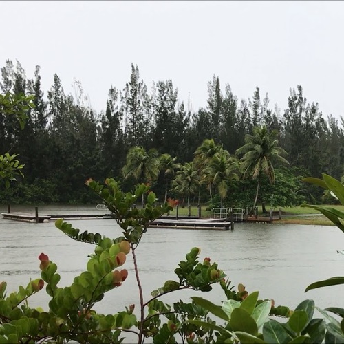寒冷湖边的下雨声 🍅