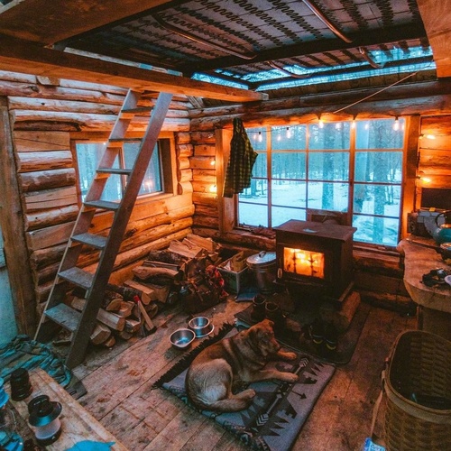 冬日窝在温暖的房间看书 🍅