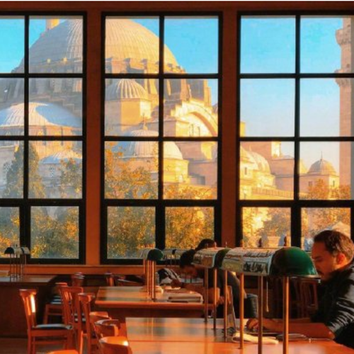 沉迷图书馆学习，无法自拔 🍅