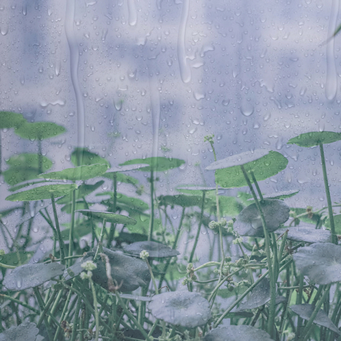 下雨天|雨中漫步|踩水|雷鸣 🍅