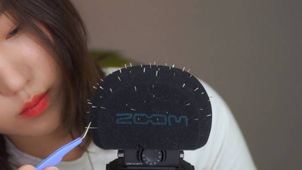 [Soy]拔掉麦克风上的刺和毛|折磨麦克风|缓解压力 🍅