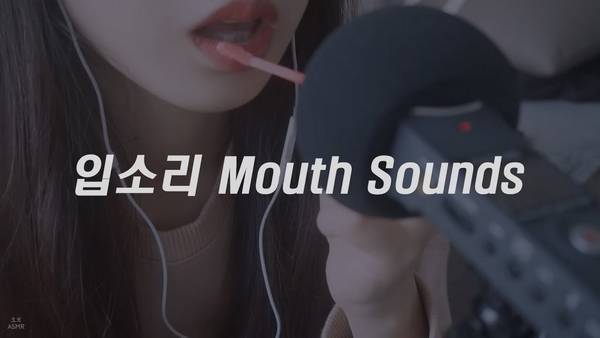 【口腔音】韩国ASMR 30分钟 口腔音 🍅
