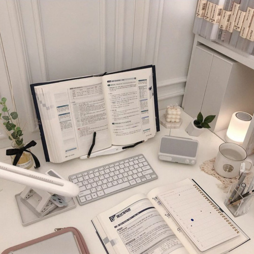 陪伴你深夜学习和专注 🍅