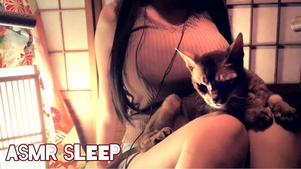 [日南]敲击声和喵咪的呼呼声让你放松，用柔和触感带来身心平静 🍅