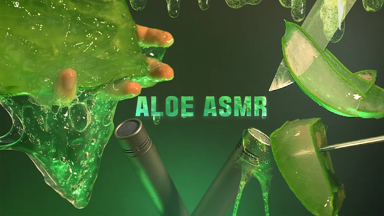 [Suna]芦荟按摩|芦荟切片|ASMR免疫|无人声 🍅