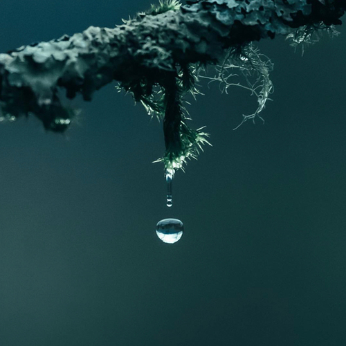「夏末」微雨滴 🍅