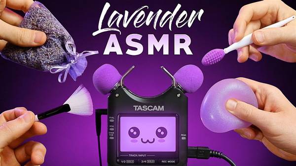 各类薰衣草风格的触发器，帮助你快速入睡|无人声 🍅